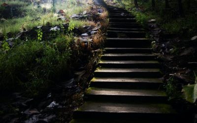 Mi a közös a coachingban és két magzatban?