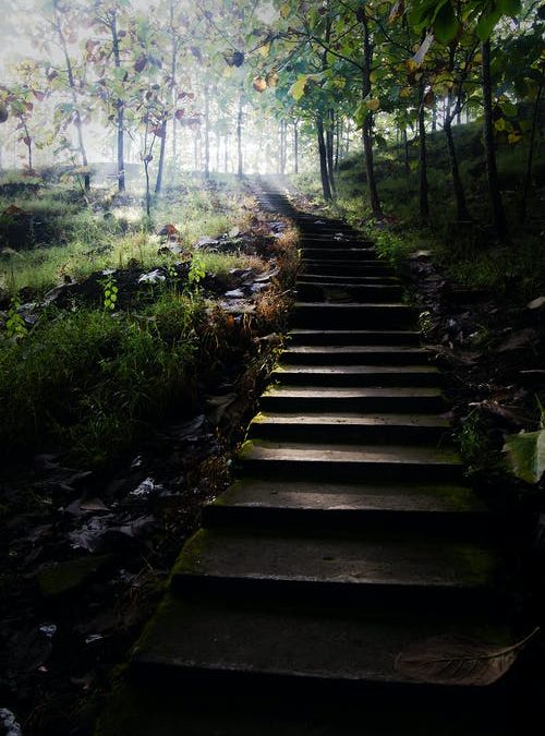 Mi a közös a coachingban és két magzatban?