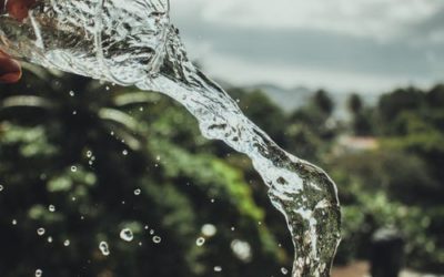 Történet egy pohár vízről