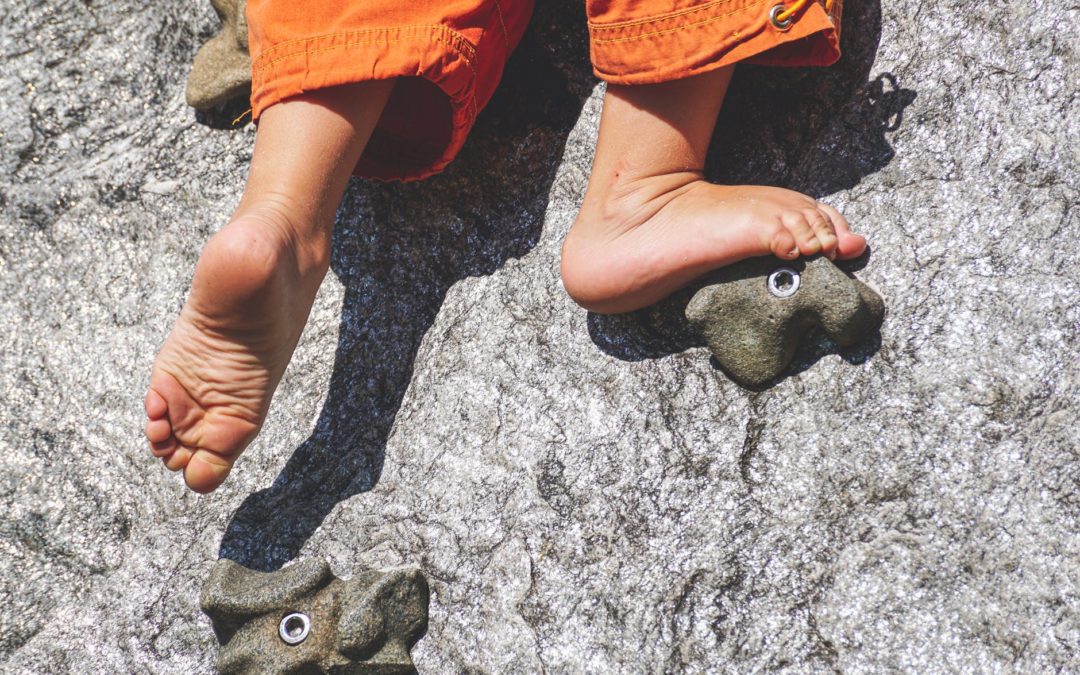 A paraszt és a szamár